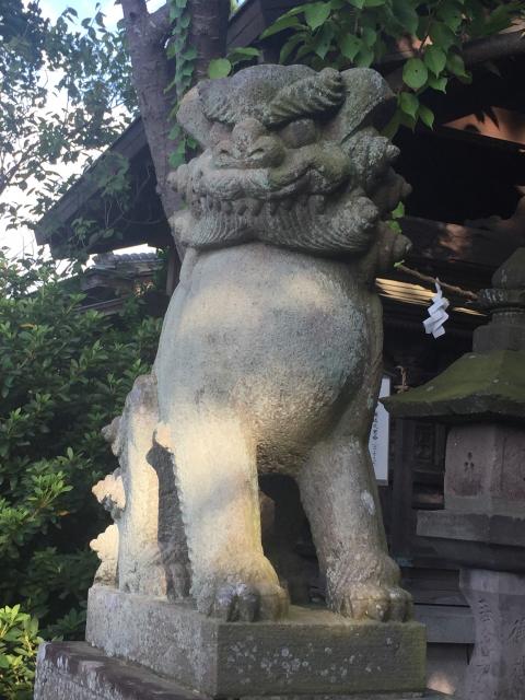 第六天神社の狛犬