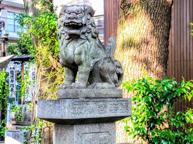 若宮八幡社の狛犬