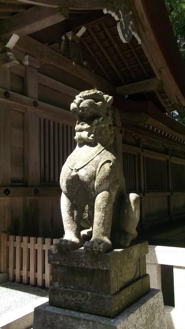 彌彦神社の狛犬