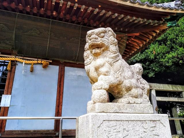 神明社（平地神明神社）の狛犬