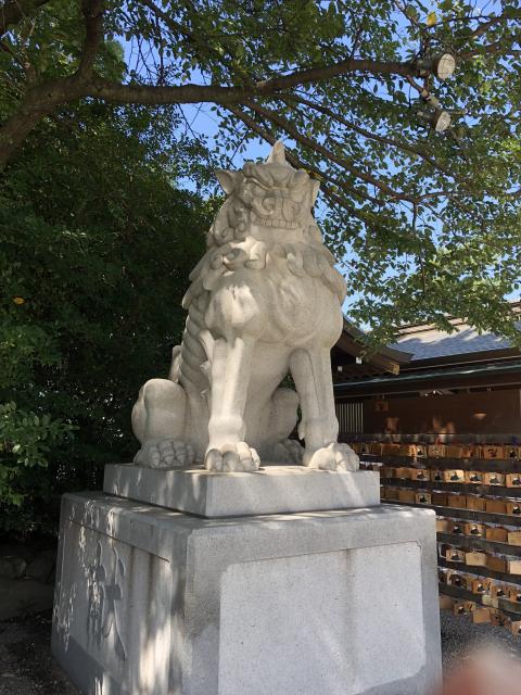 寒川神社の狛犬