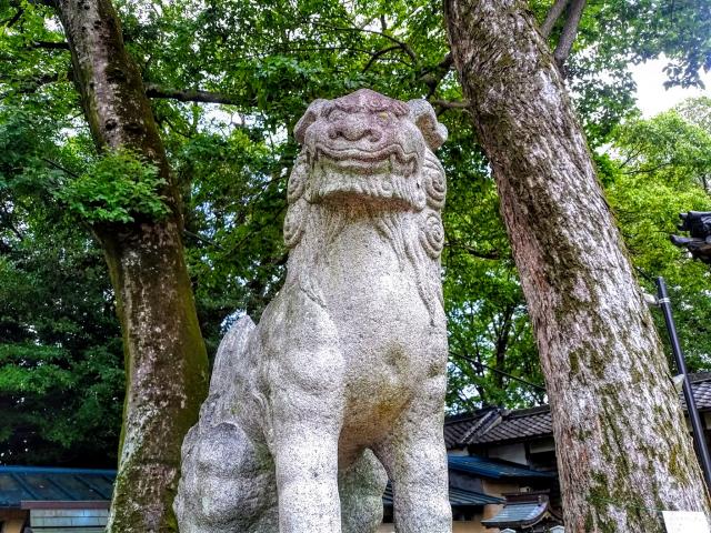 入海神社の狛犬