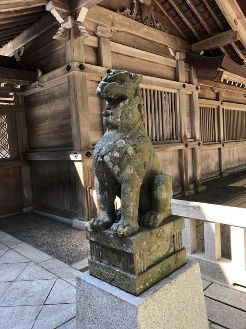 彌彦神社の狛犬