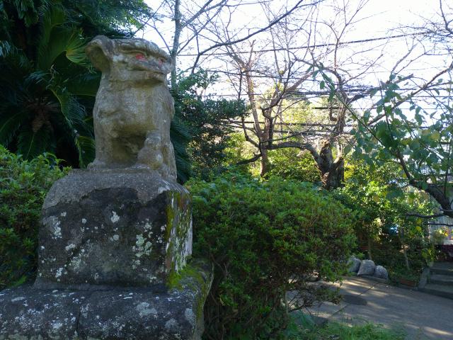 衣笠神社の狛犬