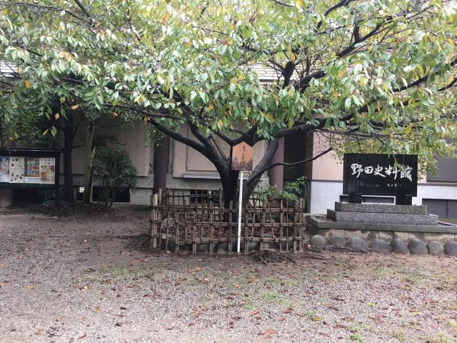 野田八幡宮の庭園