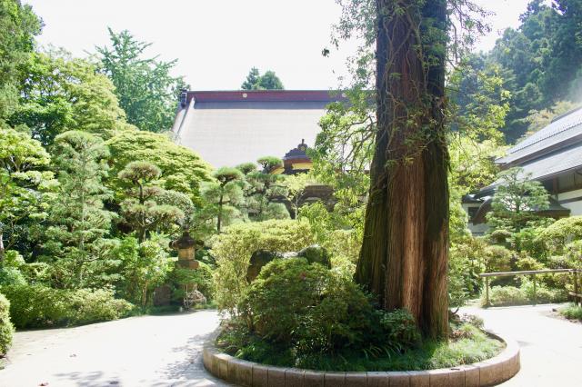 瑞鳳寺の庭園