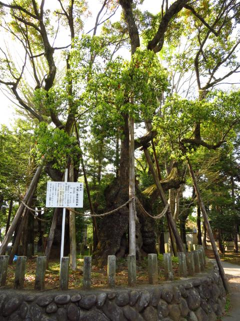 廣瀬神社の庭園