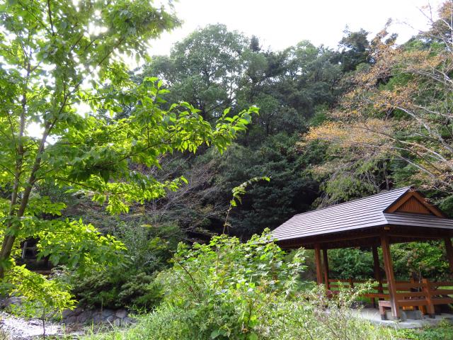 一宮賀茂神社の庭園