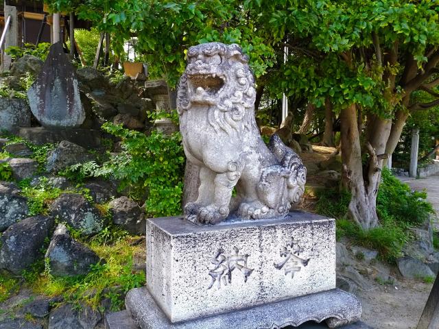 浅間社（鶴ヶ崎神社）の狛犬