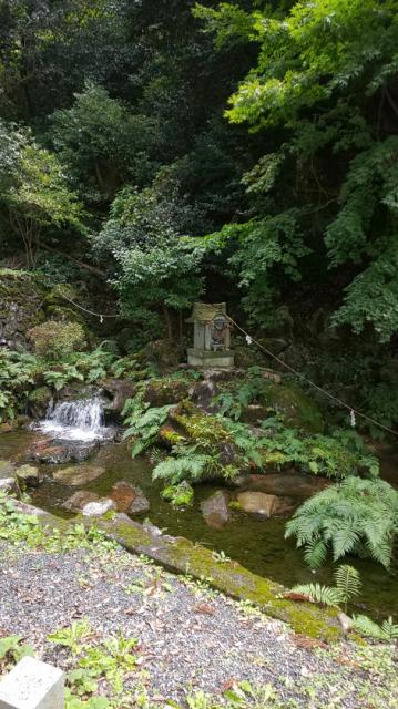 泉神社の庭園