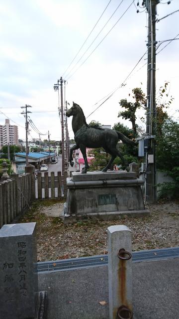深川神社の狛犬