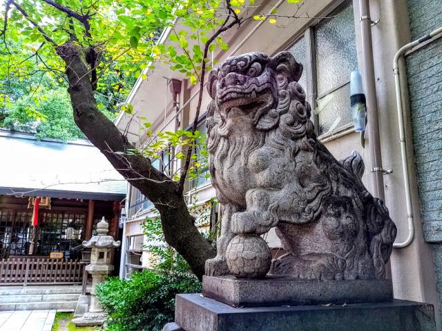 冨士神社の狛犬