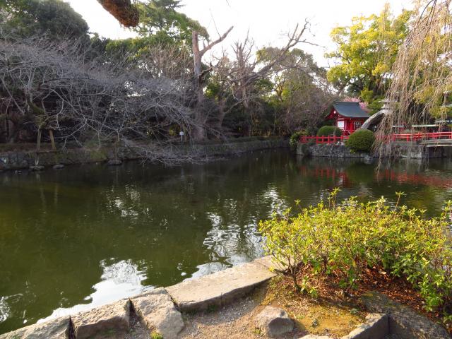三嶋大社の庭園