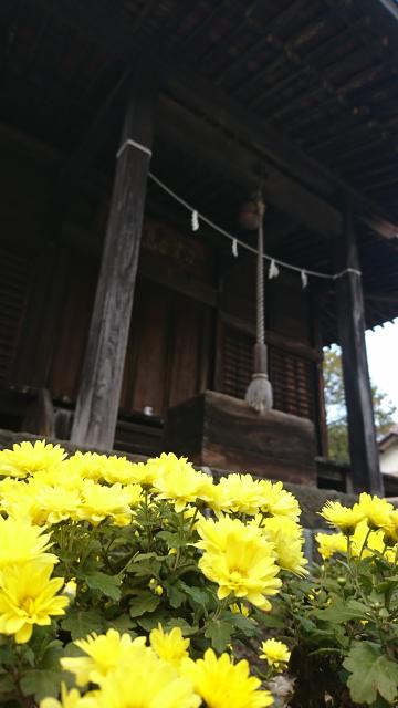 日光鹿島神社の庭園