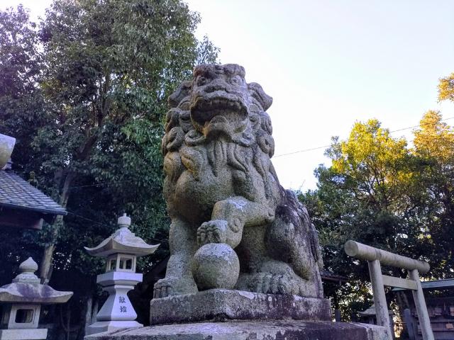 松尾神社（坂井松尾神社）の狛犬