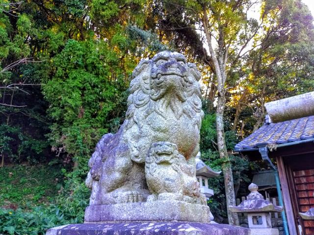 松尾神社（坂井松尾神社）の狛犬