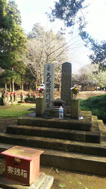 神田山延命院のお墓