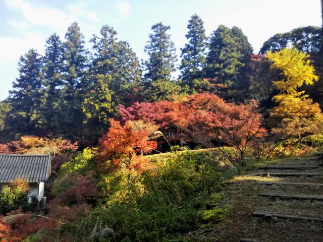 高源寺の庭園