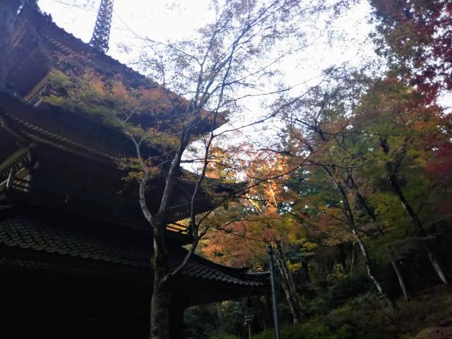 高源寺の塔