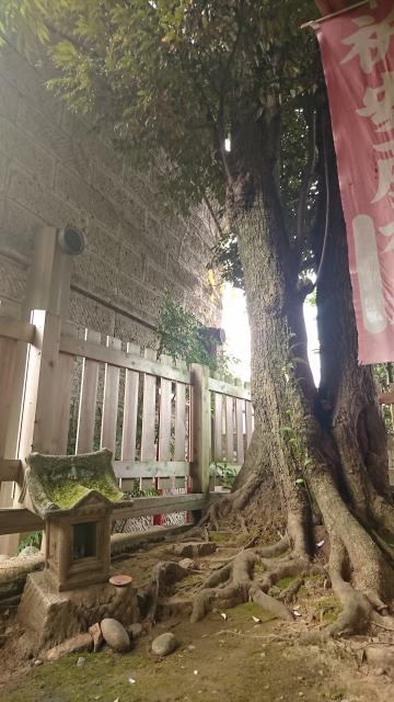 伊勢神社の庭園