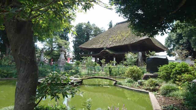佐竹寺の庭園