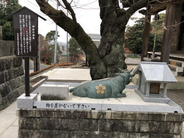 福島縣護國神社の狛犬