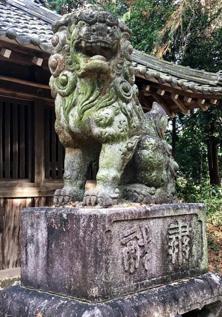 素戔嗚神社の狛犬