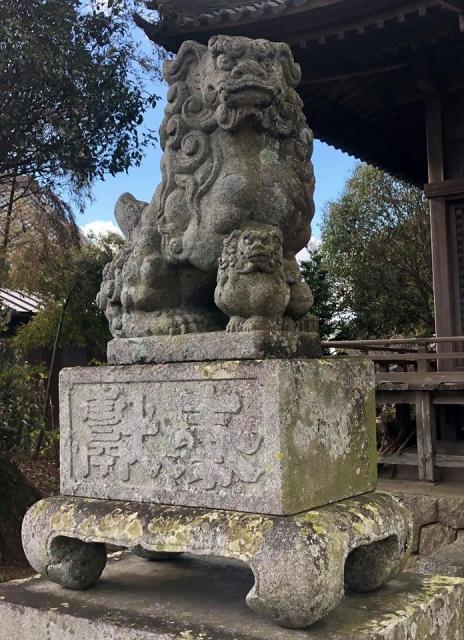 江島神社の狛犬