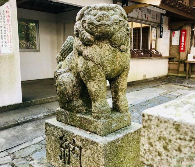 砥鹿神社（奥宮）の狛犬