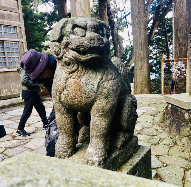 砥鹿神社（奥宮）の狛犬