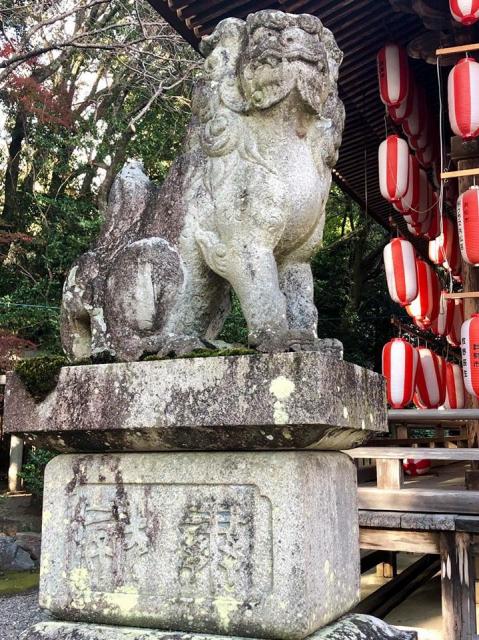 砥鹿神社（里宮）の狛犬