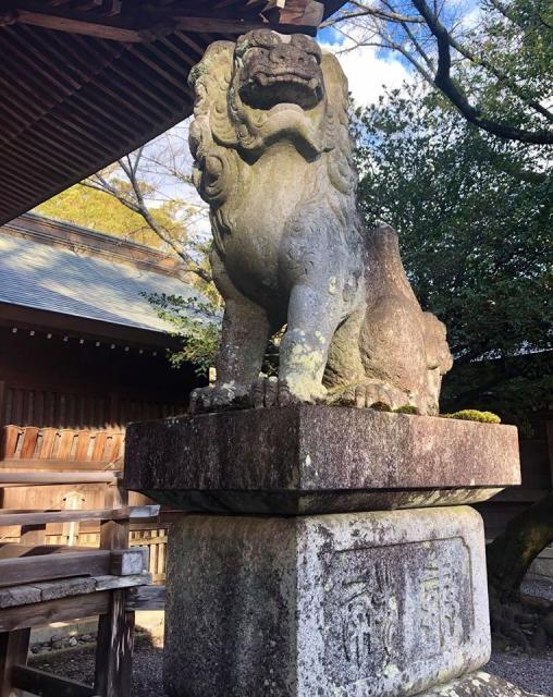 砥鹿神社（里宮）の狛犬
