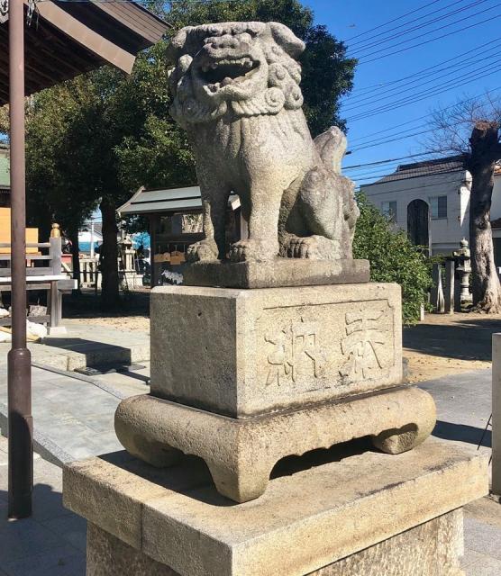 八幡社（寺津八幡社）の狛犬