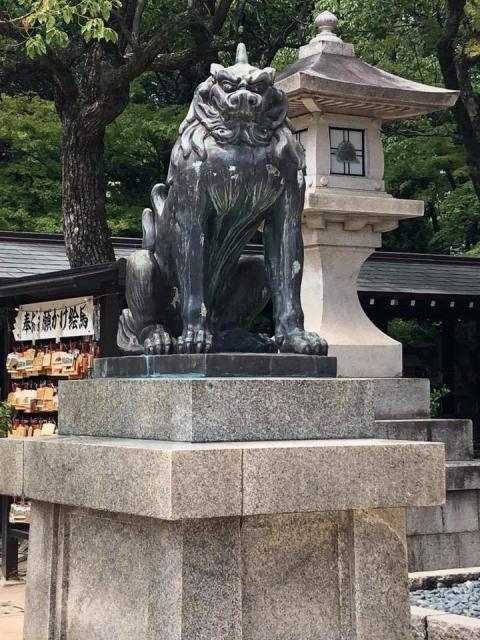 湊川神社の狛犬